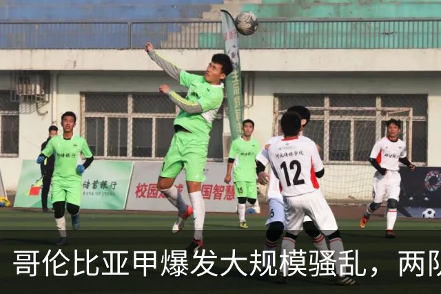 哥伦比亚甲爆发大规模骚乱，两队球迷冲场持凳子互殴