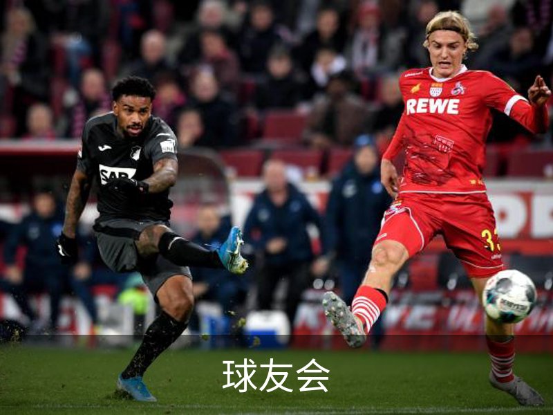 球友会概况
