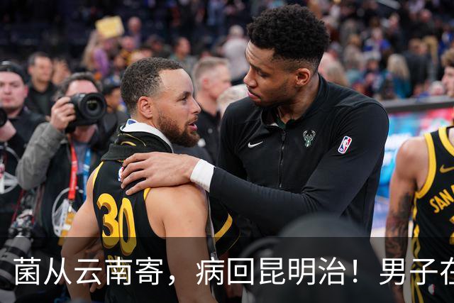 菌从云南寄，病回昆明治！男子在江苏吃见手青中毒，打车2300多公里回昆紧急救治